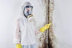 Trusted Mackinaw, IL Mold Removal Experts